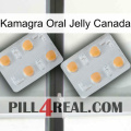 Kamagra Oral Jelly Canada 25